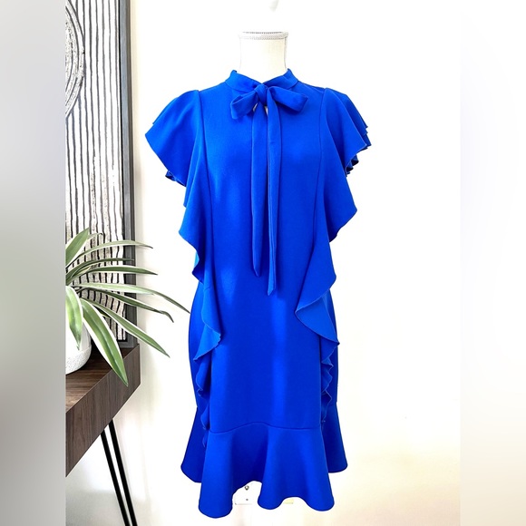 Blue Ruffle Front Dress - Picture 2 of 9